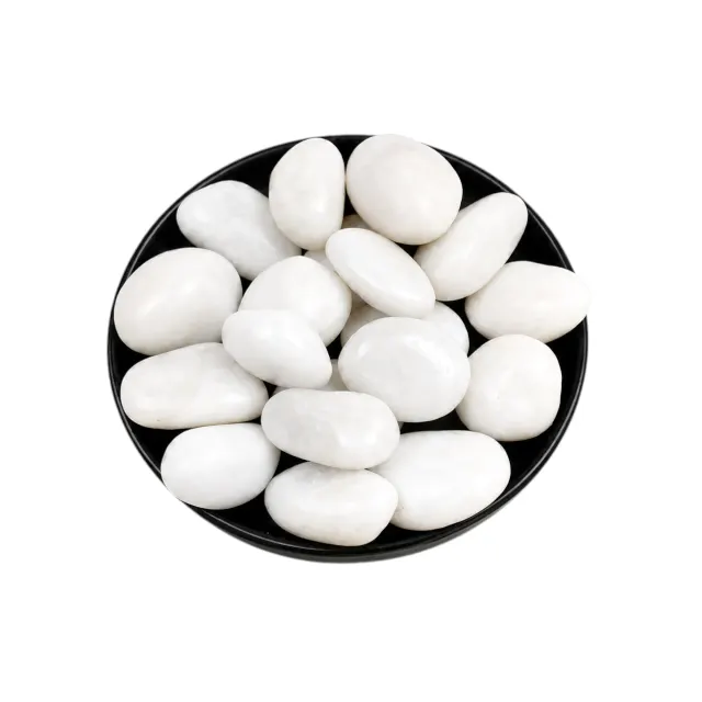 GardenNest White Decorative Pebbles for Pots and Gardens